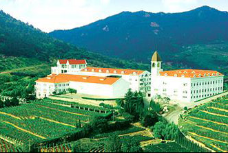 釀酒業ERP,酒業ERP,葡萄酒ERP,食品行業ERP,華東葡萄酒,酒業SAP,SAP酒業成功案例